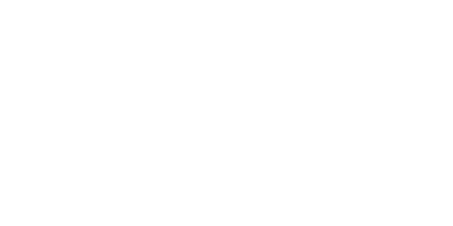 logo twintos wit