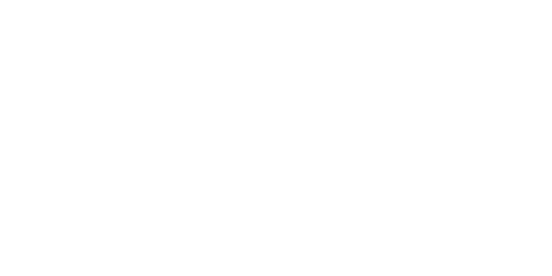 Logo LeadLogic