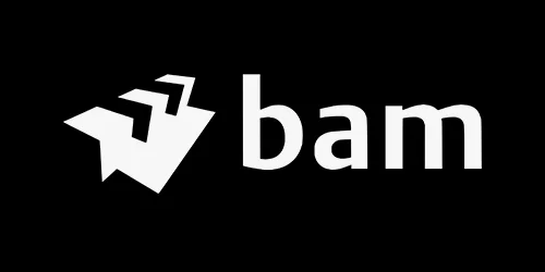 Logo BAM infra Nederland Logo BAM infra Nederland