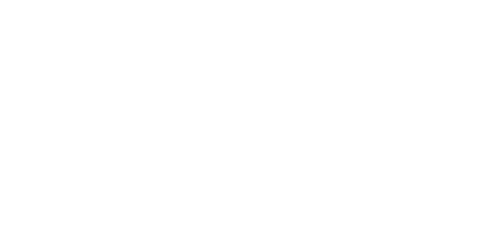 Logo SVn